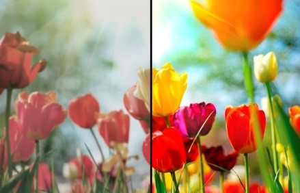 Диагностика