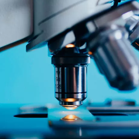 Плановое гистологическое исследование ткани