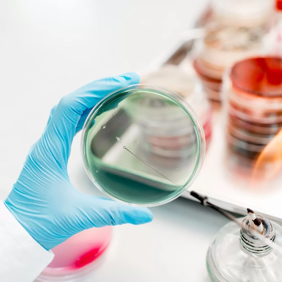 Под микроскопом