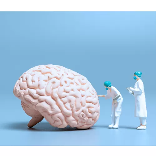 Можно ли «перезапустить» мозг после инсульта?